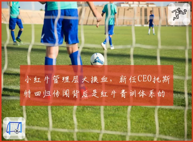 小红牛管理层大换血,新任CEO托斯特回归传闻背后是红牛青训体系的隐忧?