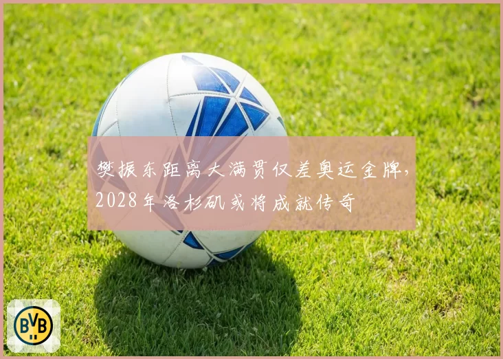 樊振东距离大满贯仅差奥运金牌,2028年洛杉矶或将成就传奇