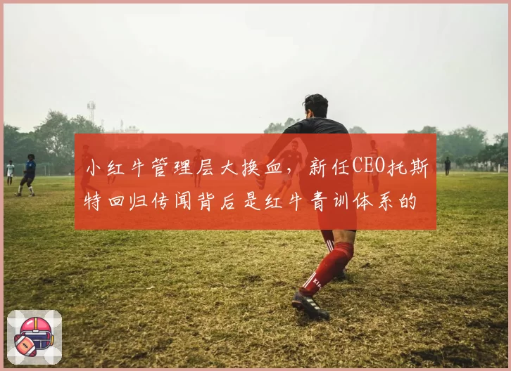 小红牛管理层大换血，新任CEO托斯特回归传闻背后是红牛青训体系的隐忧？