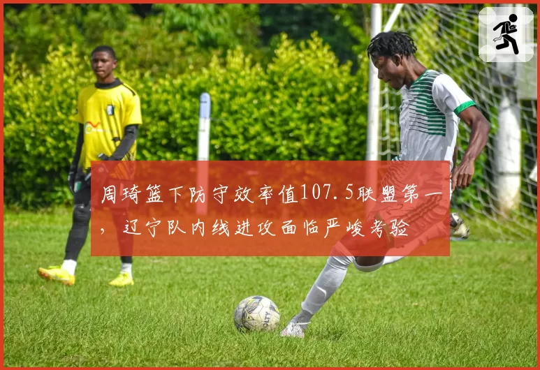 周琦篮下防守效率值107.5联盟第一，辽宁队内线进攻面临严峻考验