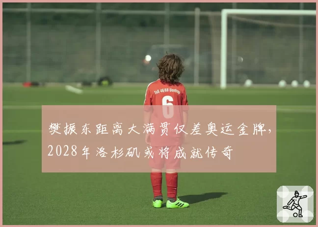 樊振东距离大满贯仅差奥运金牌，2028年洛杉矶或将成就传奇