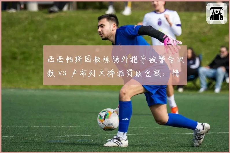 西西帕斯因教练场外指导被警告次数 vs 卢布列夫摔拍罚款金额，情绪管理谁更差？